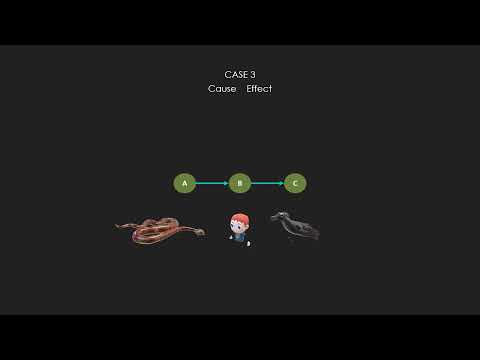 DTS Language Duality3 CauseEffect